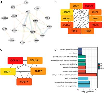 Identification of Hub Genes in Idiopathic Pulmonary Fibrosis and NSCLC Progression:Evidence From Bioinformatics Analysis